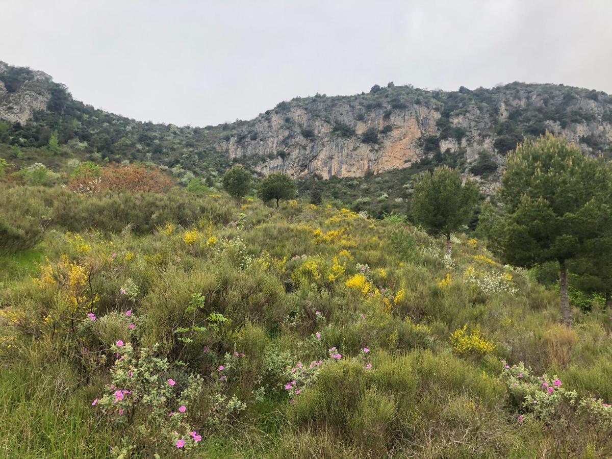 "Aux Balcons Du Riou" Avec Vue Mer 180 Degres Vence Bagian luar foto