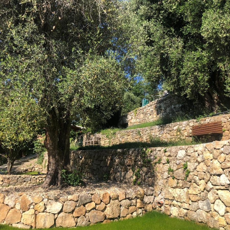 "Aux Balcons Du Riou" Avec Vue Mer 180 Degres Vence Bagian luar foto