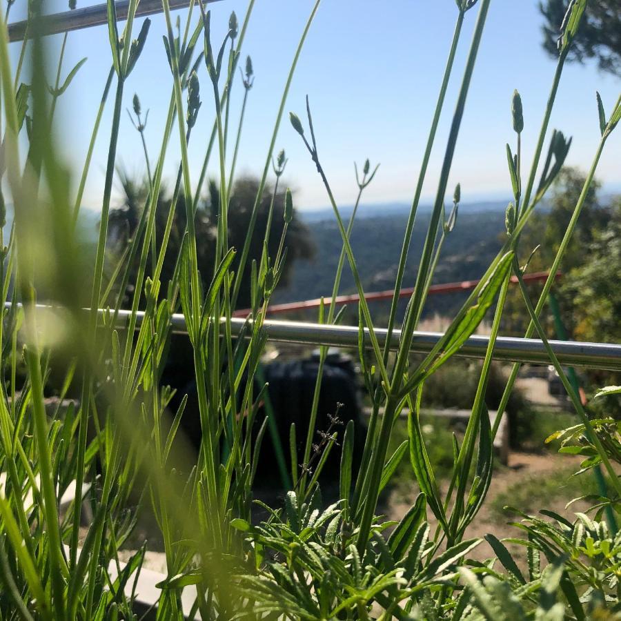 "Aux Balcons Du Riou" Avec Vue Mer 180 Degres Vence Bagian luar foto